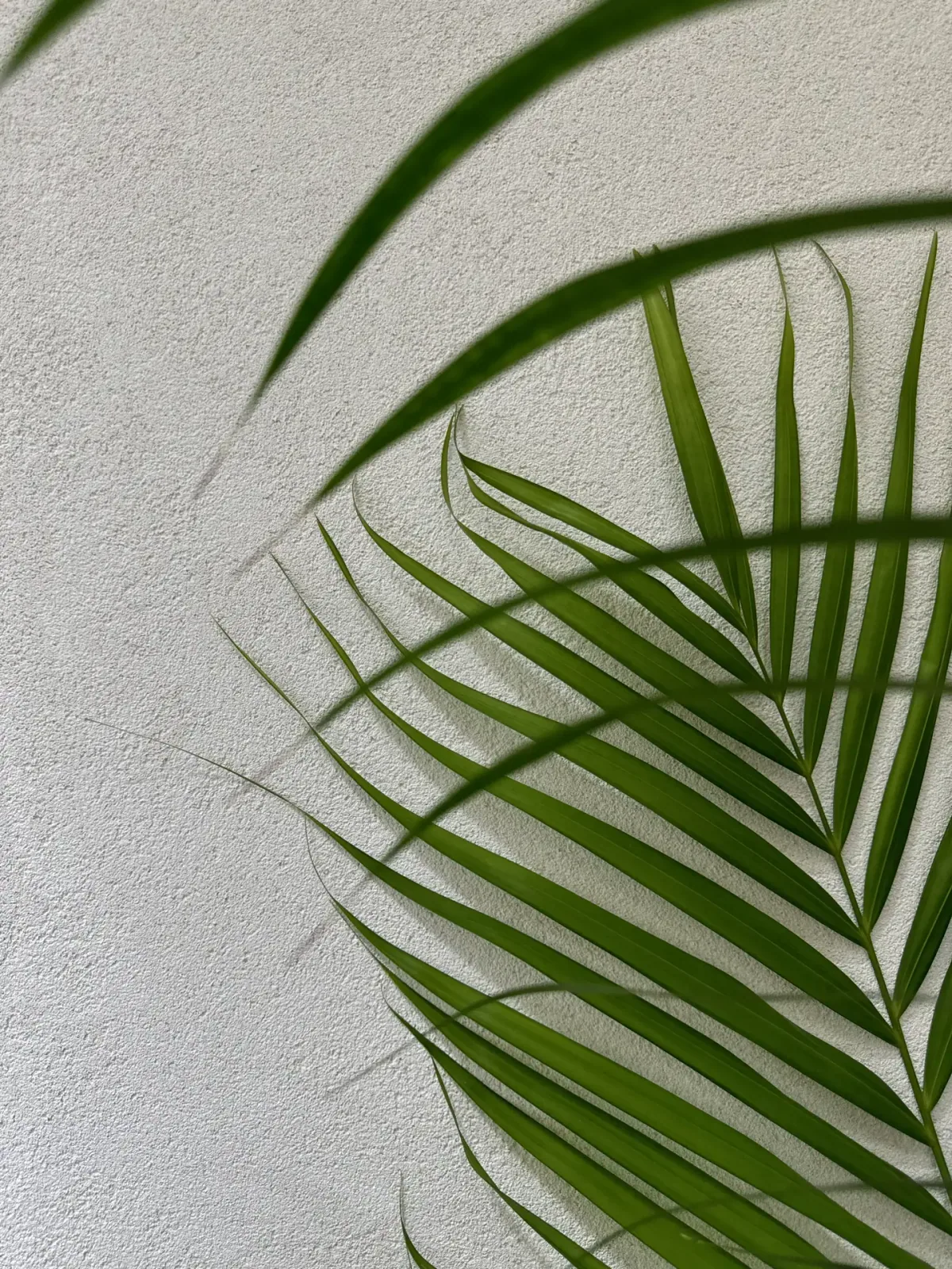 A Real-Site Finish Study - Study 162, a microcement commercial decorative finish in greige