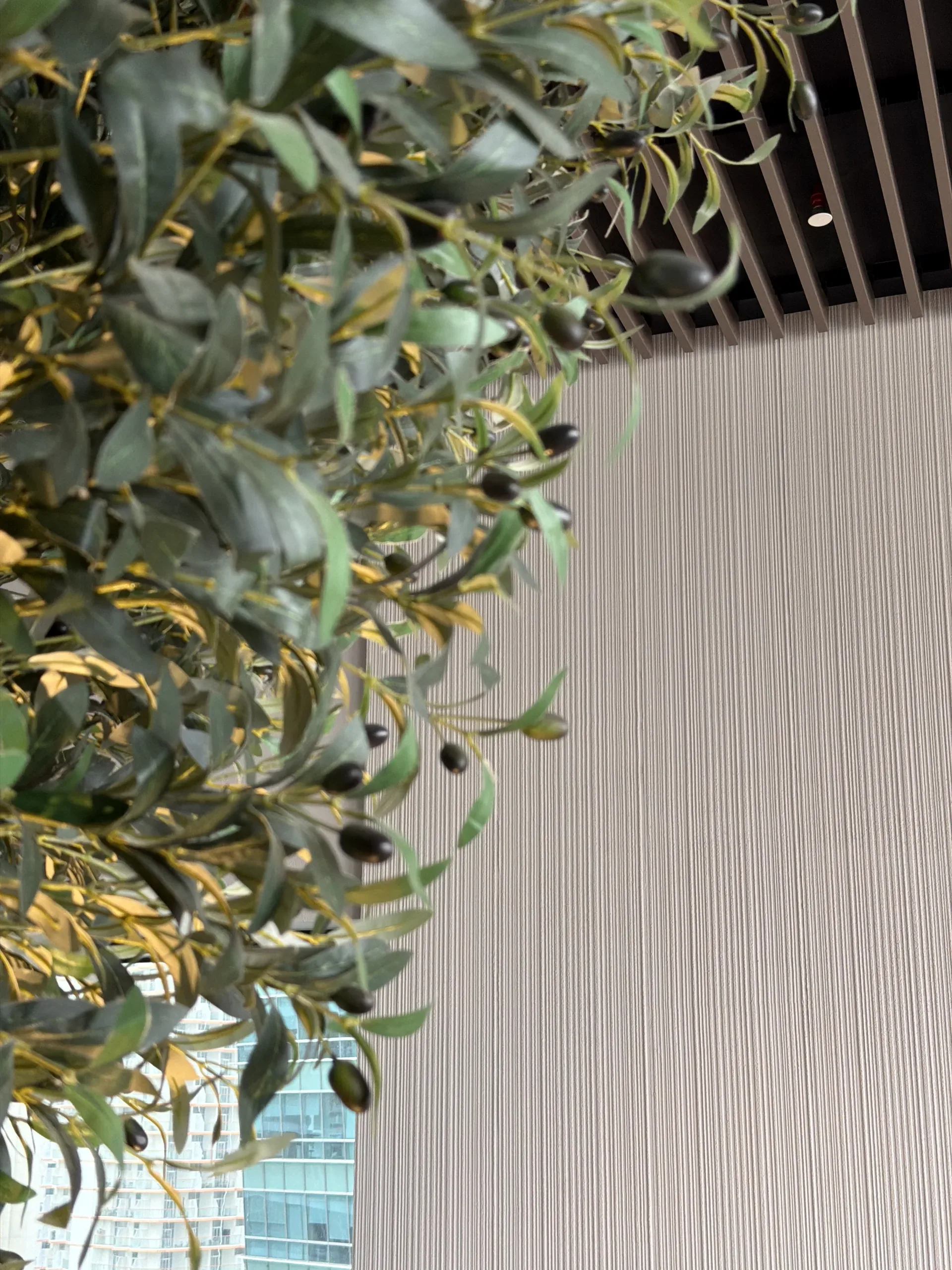 A Real-Site Finish Study - Study 96, a microcement commercial decorative finish in chalk white
